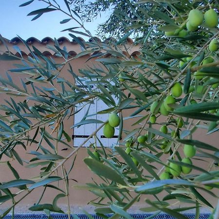 Reve En Luberon Βίλα Lauris Εξωτερικό φωτογραφία