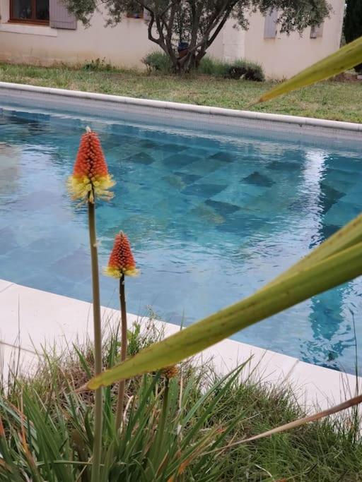 Reve En Luberon Βίλα Lauris Εξωτερικό φωτογραφία