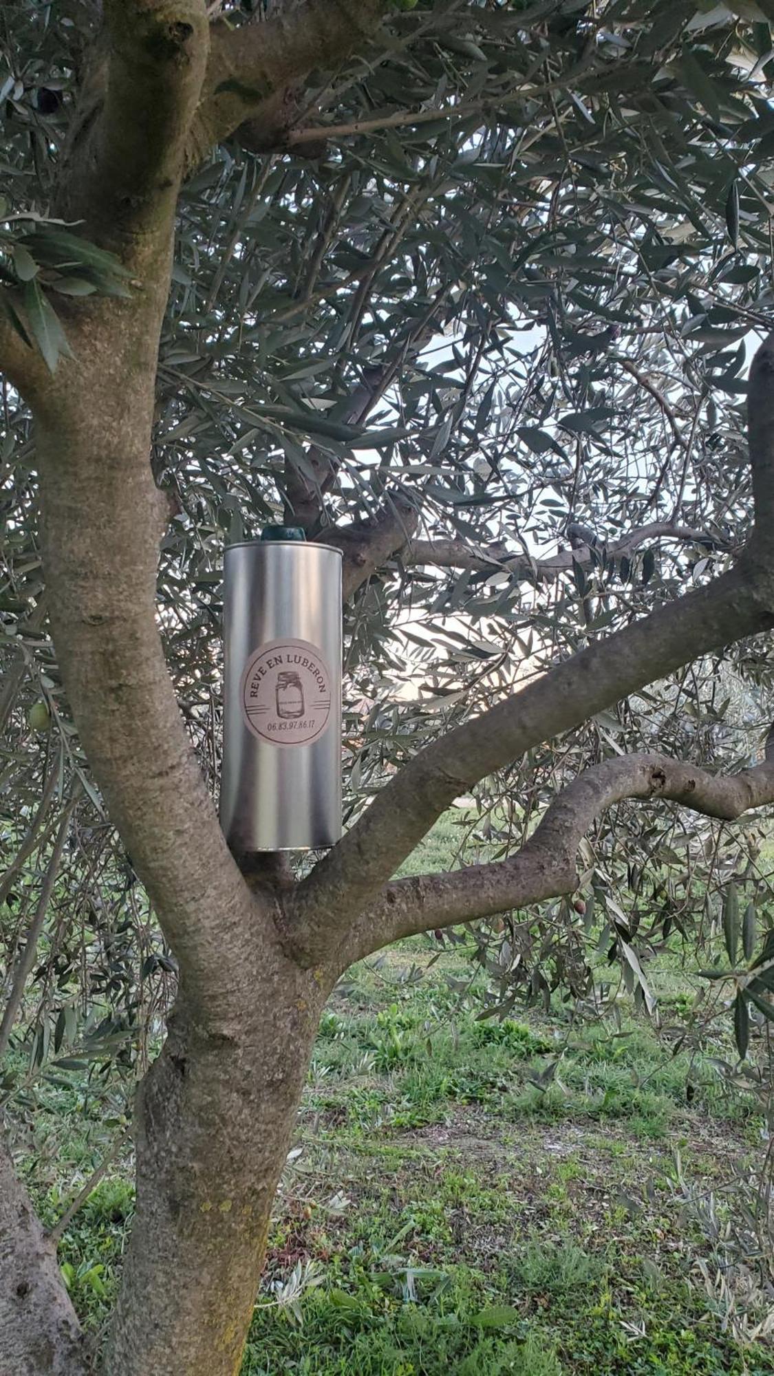 Reve En Luberon Βίλα Lauris Εξωτερικό φωτογραφία