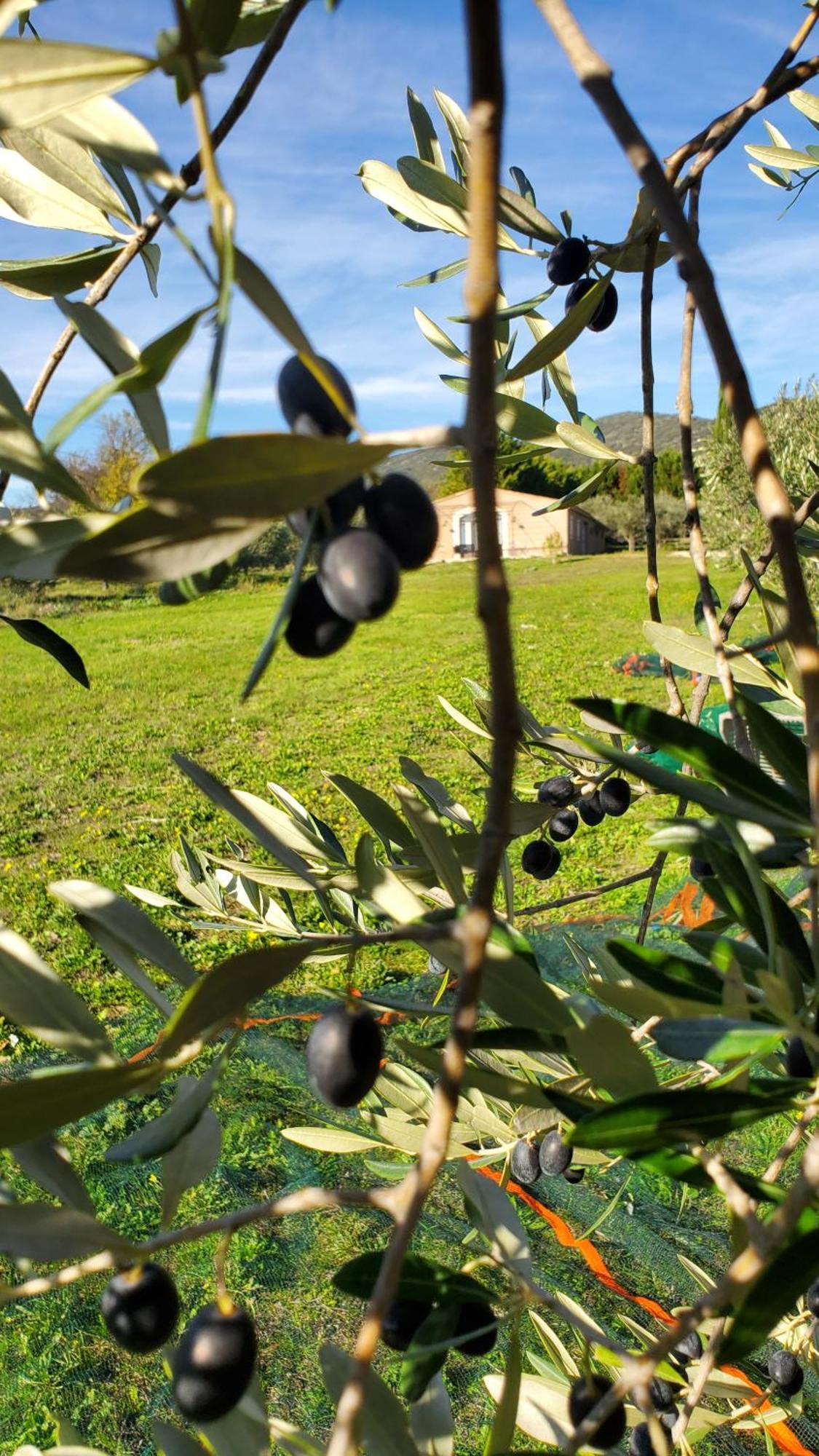 Reve En Luberon Βίλα Lauris Εξωτερικό φωτογραφία