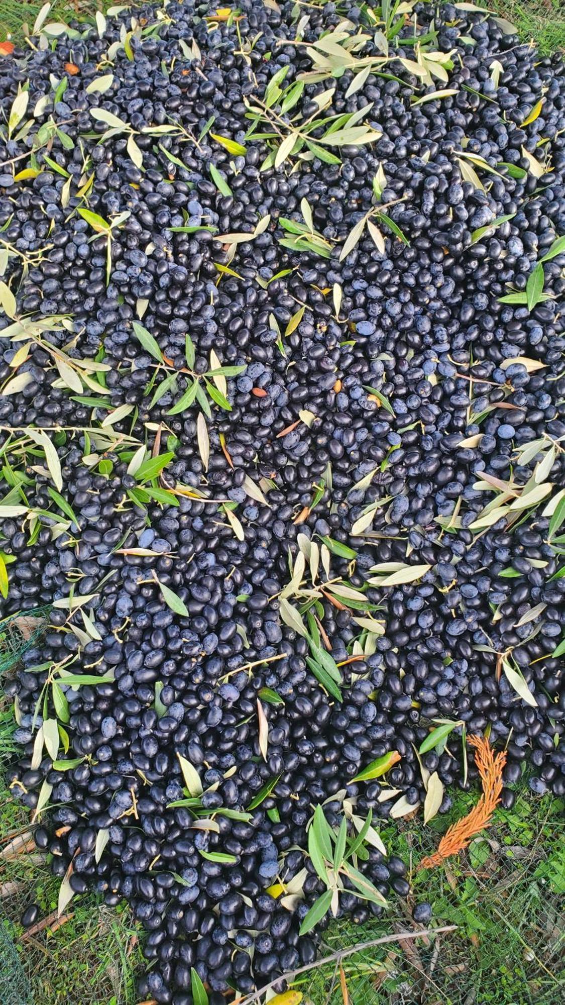 Reve En Luberon Βίλα Lauris Εξωτερικό φωτογραφία