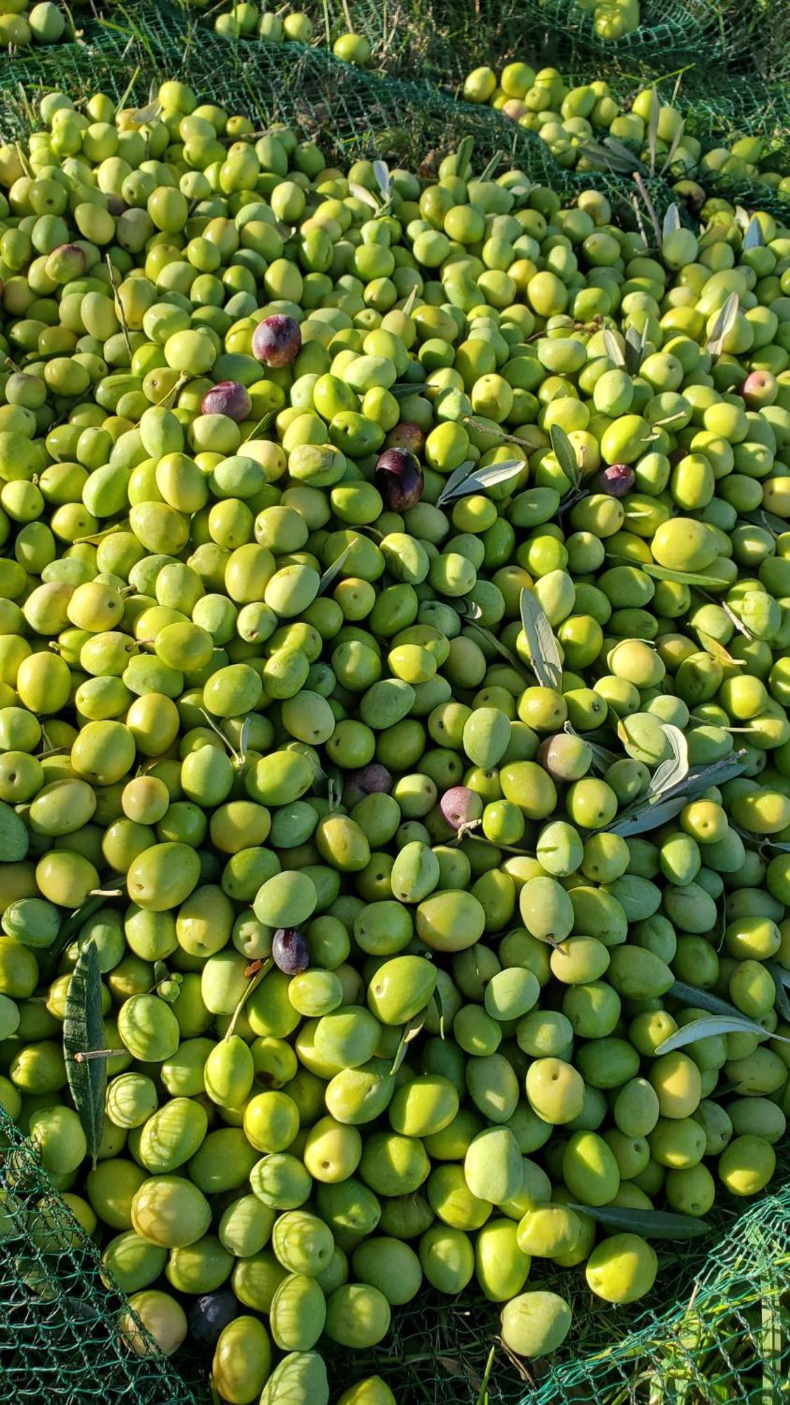Reve En Luberon Βίλα Lauris Εξωτερικό φωτογραφία