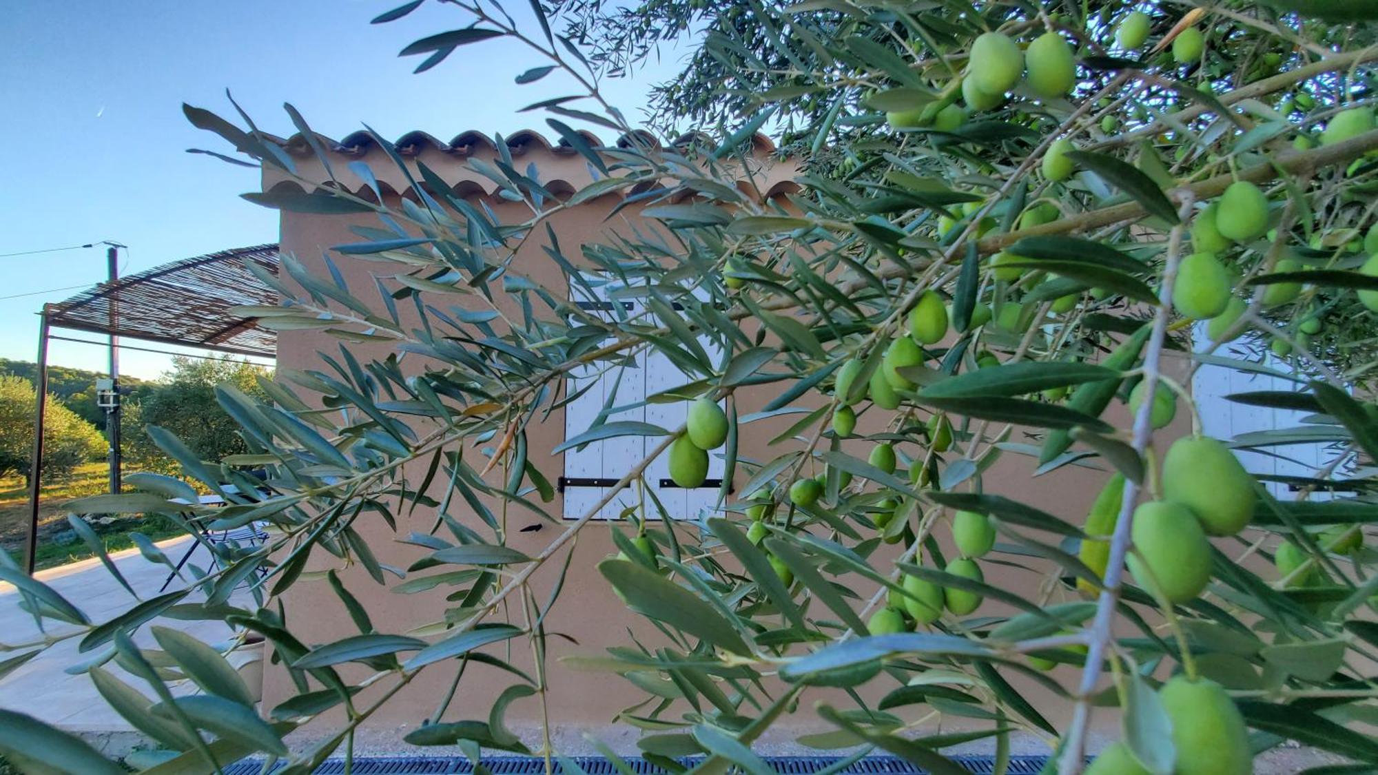 Reve En Luberon Βίλα Lauris Εξωτερικό φωτογραφία
