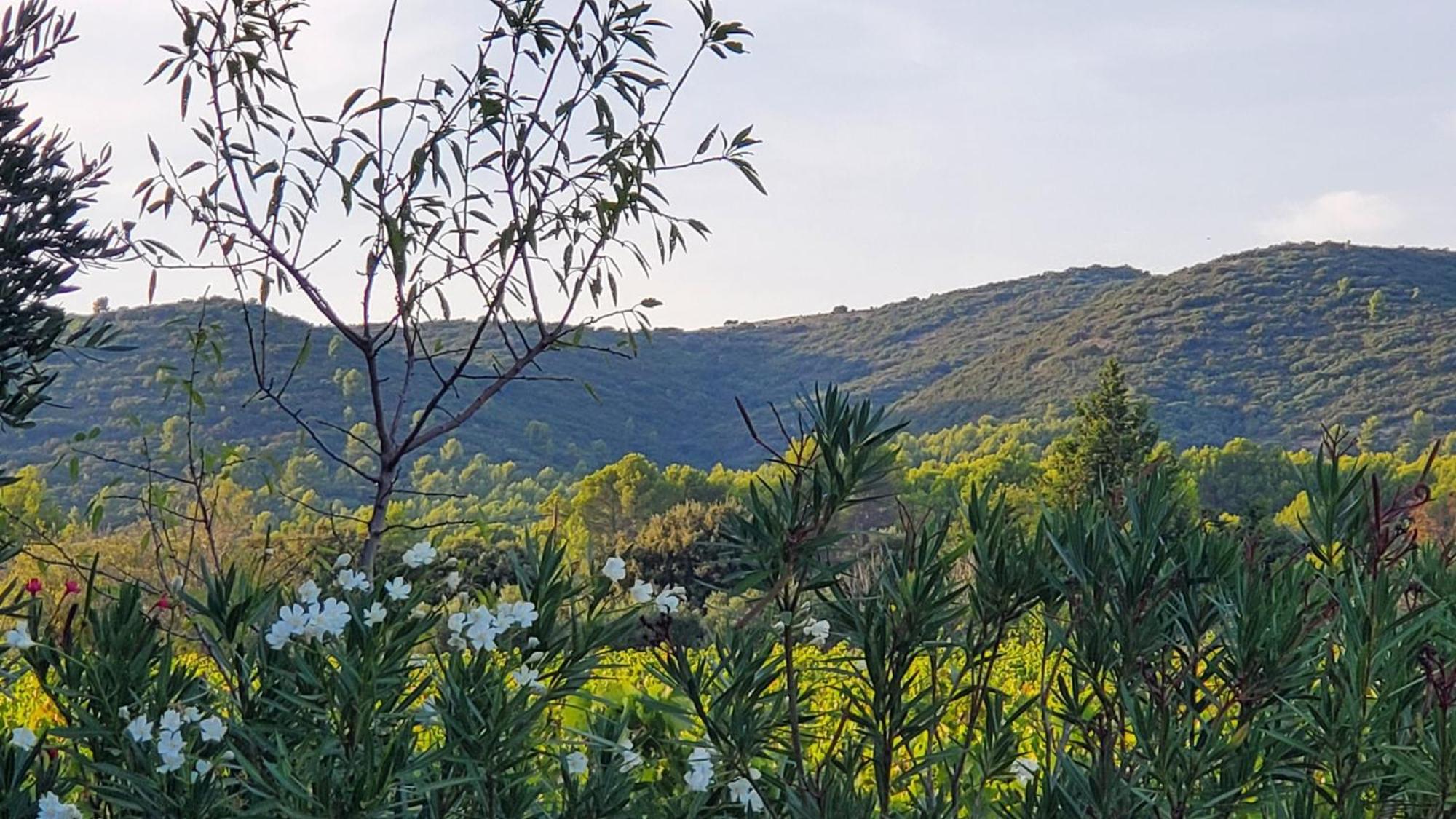 Reve En Luberon Βίλα Lauris Εξωτερικό φωτογραφία